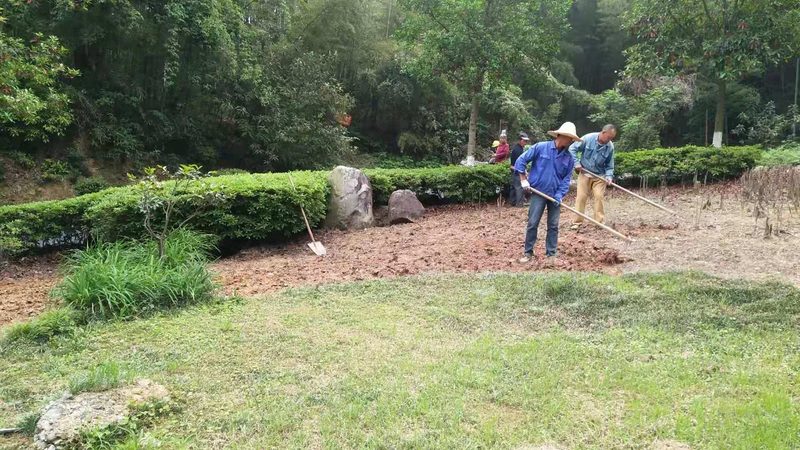 园林公司项目经理职责解析：关键角色与工作要点**