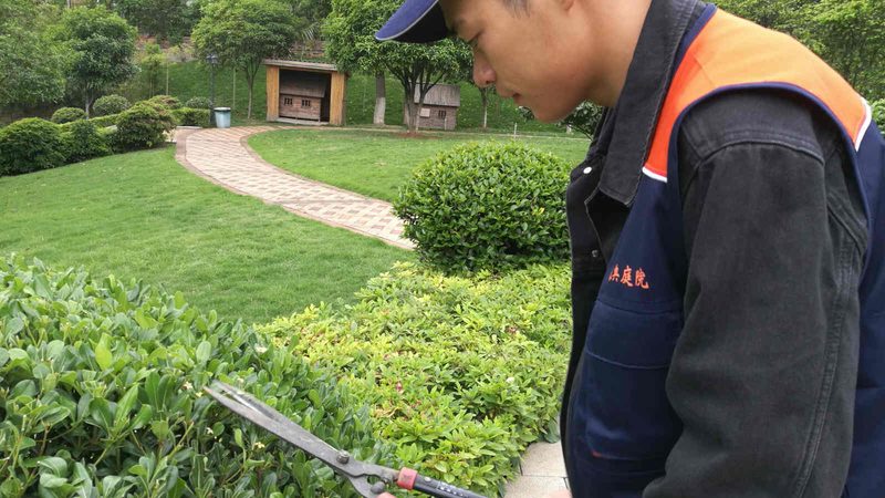 校园园林绿化工程招标：关键要素与注意事项**