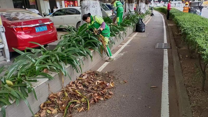 上海别墅花园设计：如何打造私人绿洲的口碑之选**