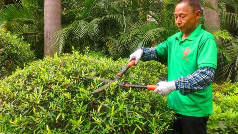 园林绿化资质甲级与乙级：参数对比解析**