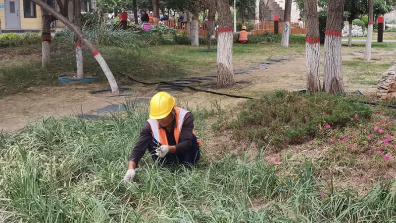 绿化养护标准规范参数表：揭秘园林养护的量化标准**