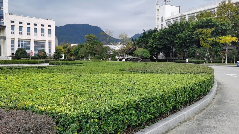 绿化资质厂家生产资质要求：标准与解读**