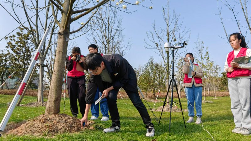 私人别墅花园设计报价：揭秘合理预算的关键要素**
